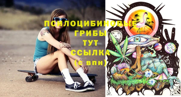 соль ск Пестово